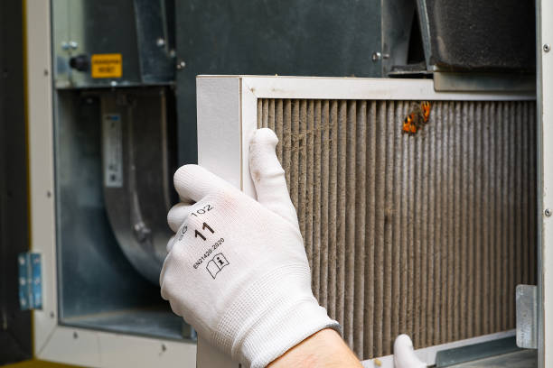 Best Ventilation Cleaning Services  in Johnston City, IL