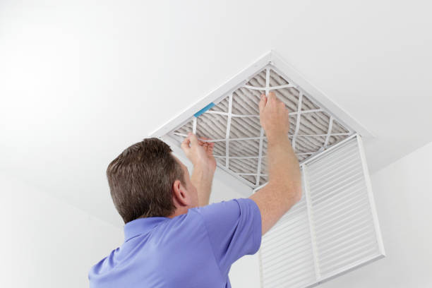 Best Affordable Duct Cleaning Services  in Johnston City, IL